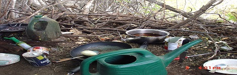 Greenleaf Crossing- trash(mod2)